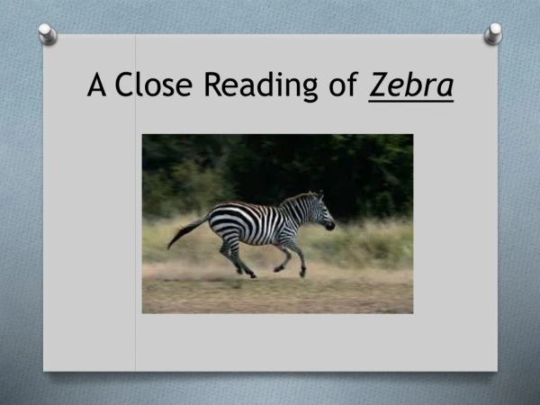 A Close Reading of Zebra