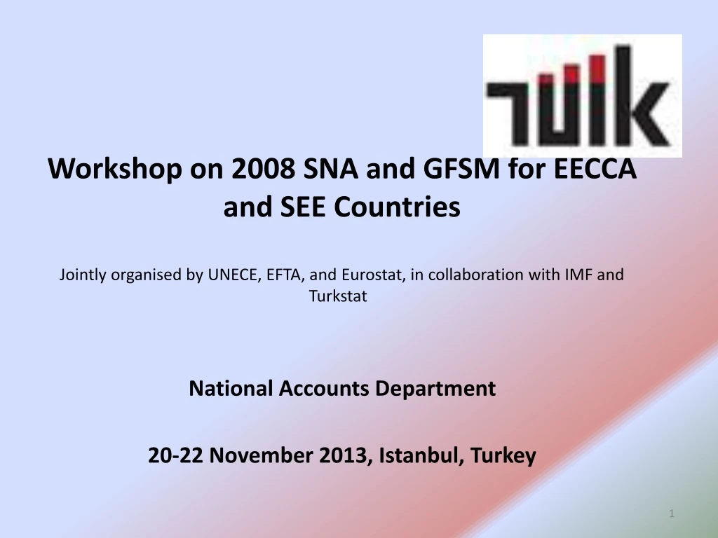 workshop on 2008 sna and gfsm for eecca