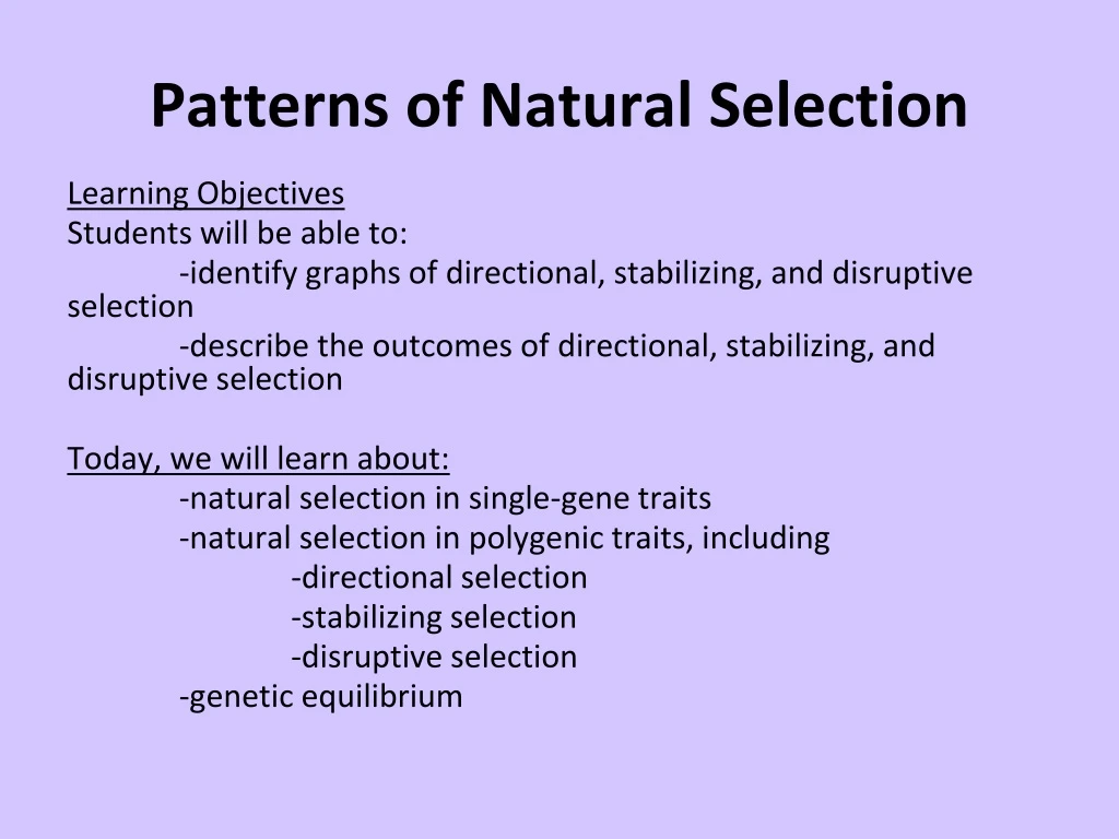 patterns of natural selection