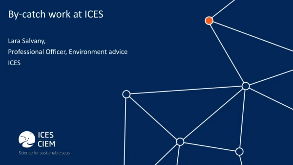 By-catch work at ICES Lara Salvany, Professional Officer, Environment advice ICES