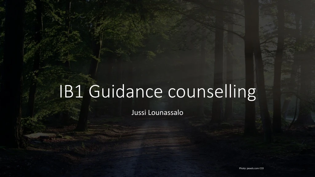 ib1 guidance counselling