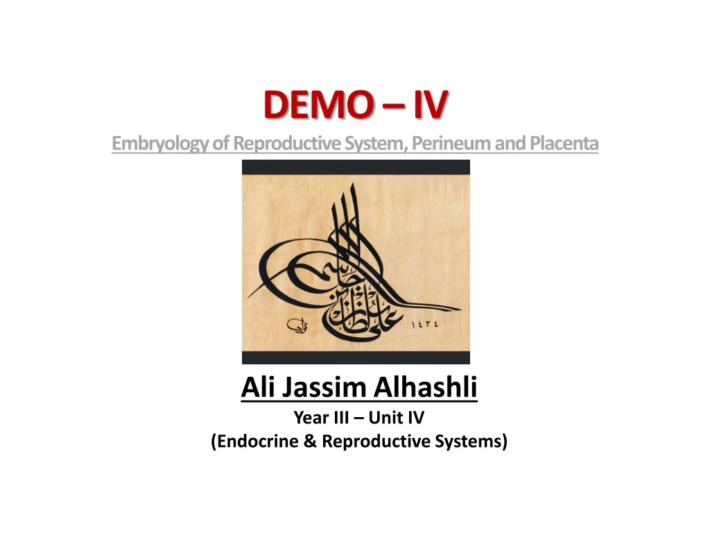 demo iv embryology of reproductive system perineum and placenta