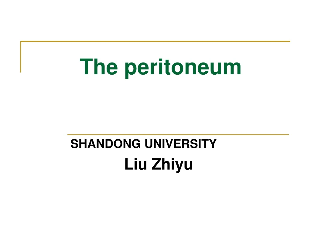 the peritoneum