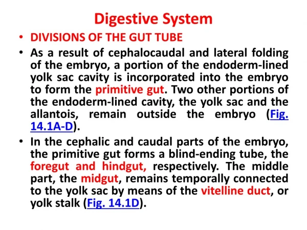 Digestive System