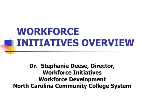 WORKFORCE INITIATIVES OVERVIEW