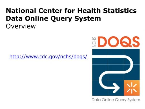 National Center for Health Statistics Data Online Query System Overview
