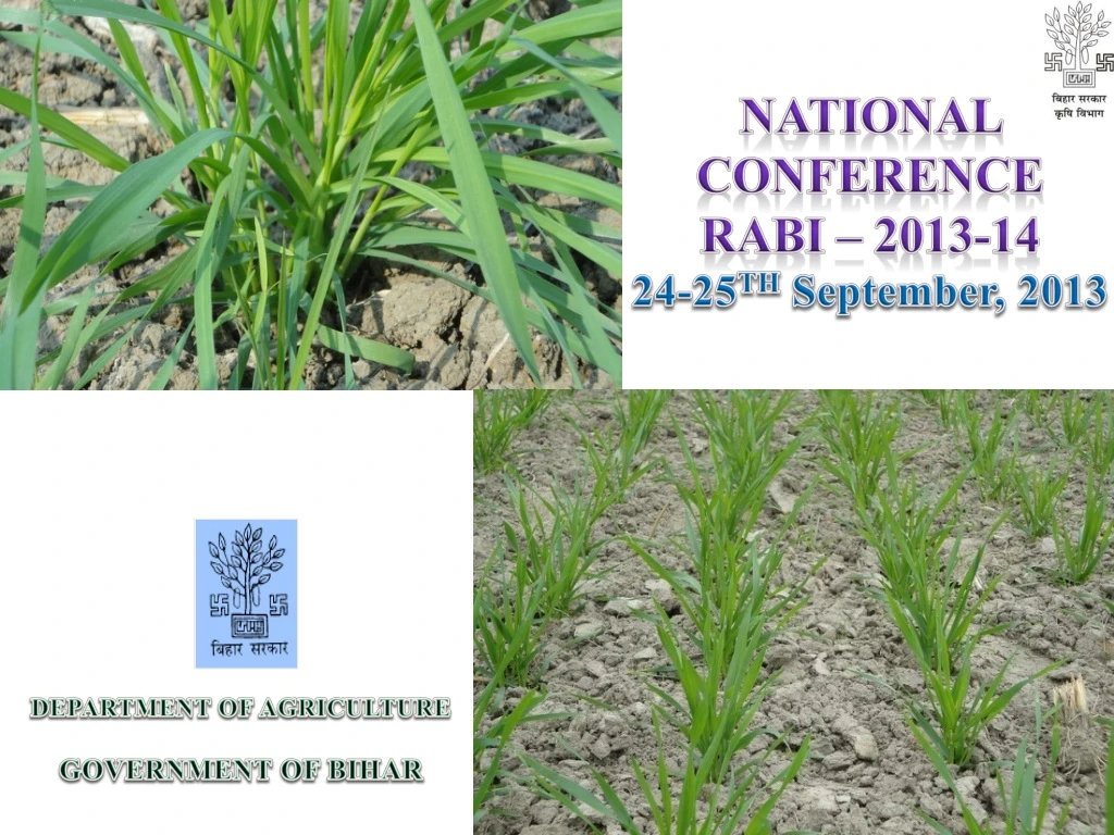 national conference rabi 2013