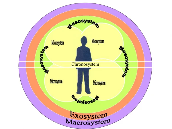 Macrosystem