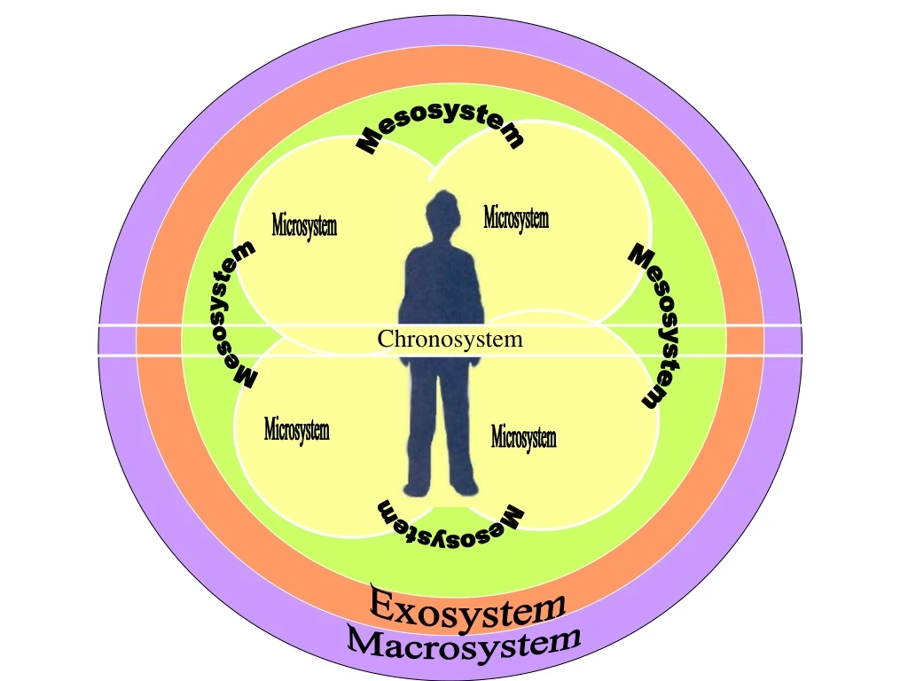 mesosystem
