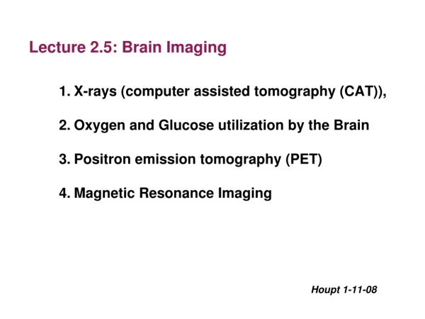 Lecture 2.5: Brain Imaging