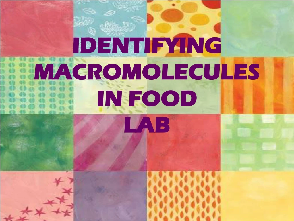 identifying macromolecules in food lab