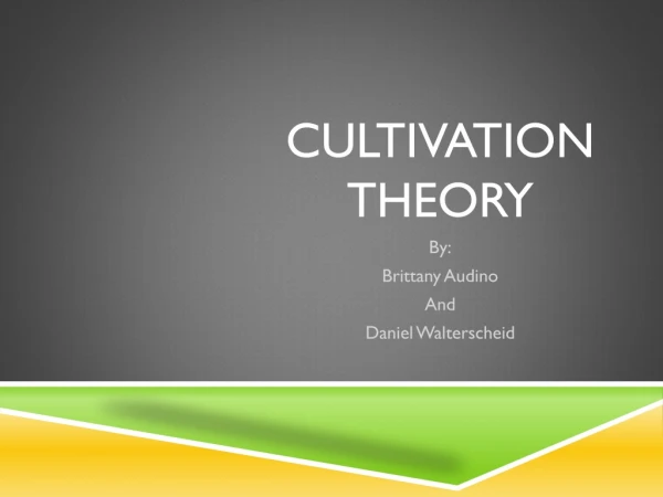 Cultivation Theory