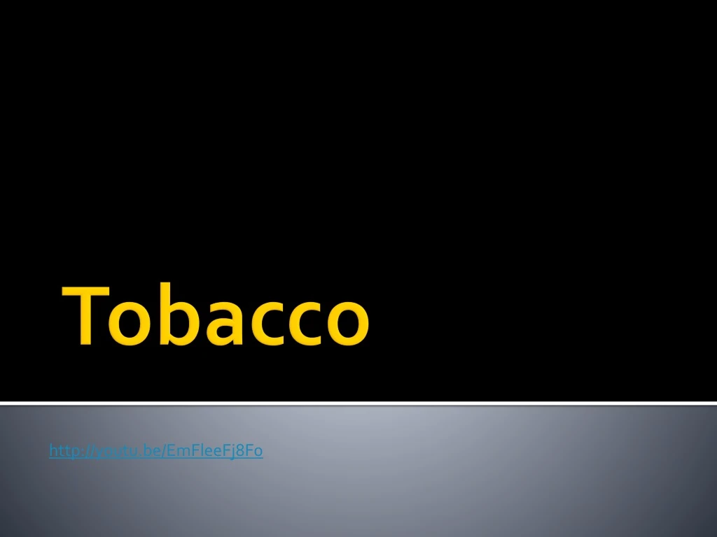 tobacco