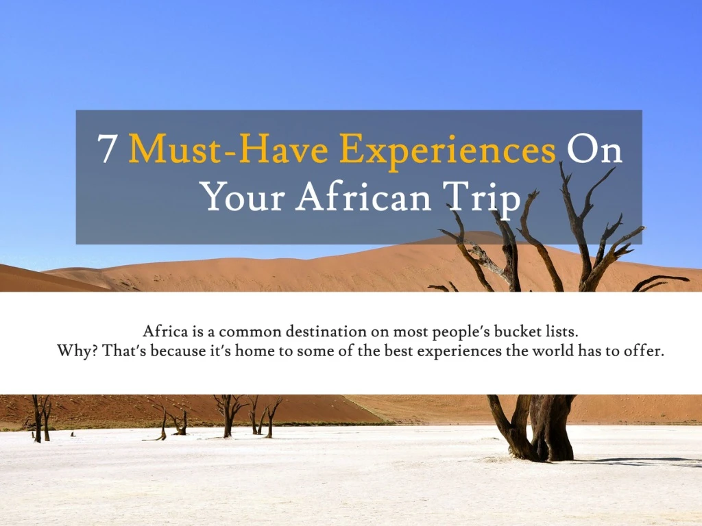 7 must have experiences on your african trip