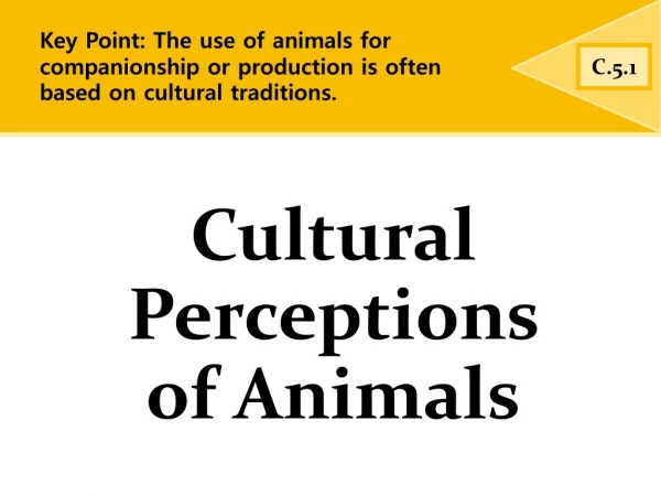 Cultural Perceptions of Animals