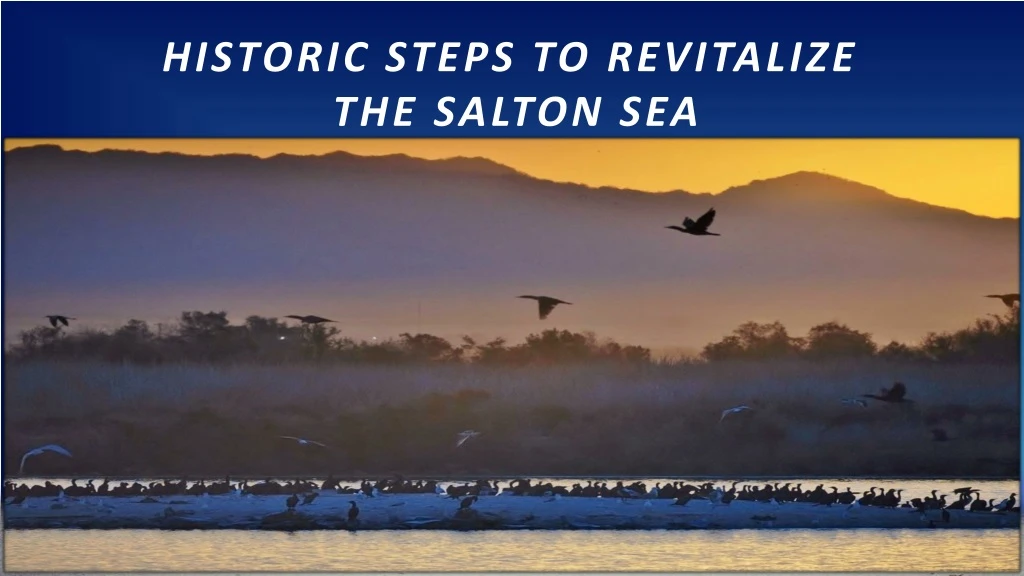 historic steps to revitalize the salton sea