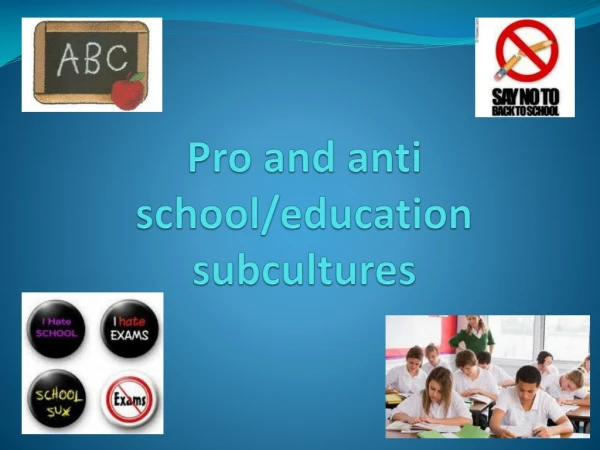 Pro and anti school/education subcultures