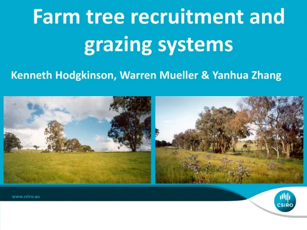 Farm tree recruitment and grazing systems