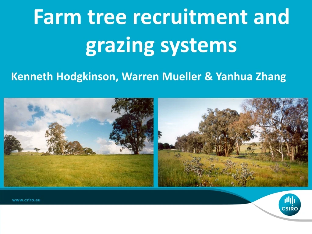 farm tree recruitment and grazing systems