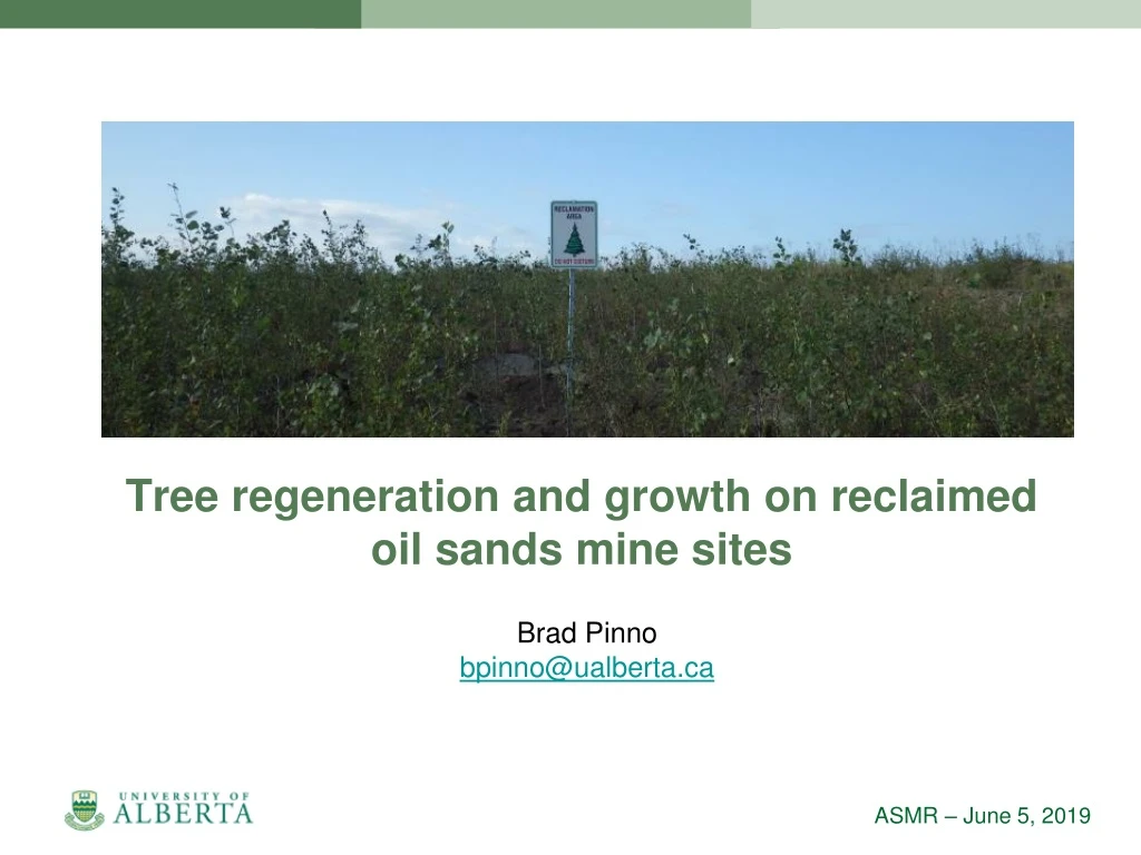 tree regeneration and growth on reclaimed oil sands mine sites