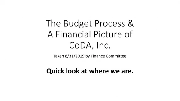 The Budget Process &amp; A Financial Picture of CoDA, Inc.