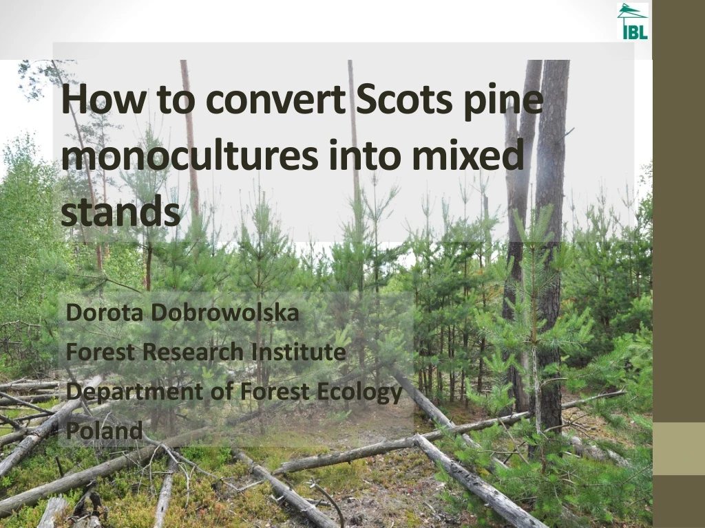 how to c onvert scots pine monocultures into mixed stands