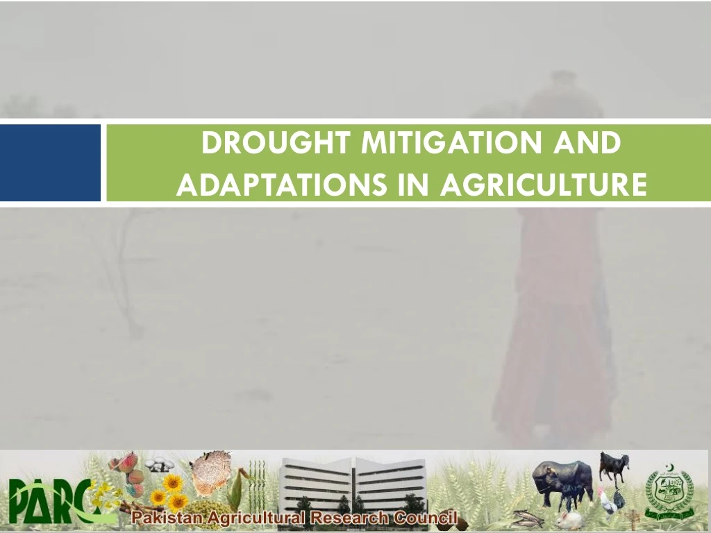 drought mitigation and adaptations in agricult ure