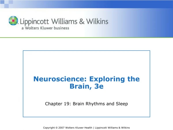 Neuroscience: Exploring the Brain, 3e