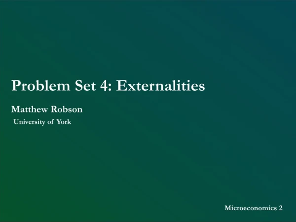 Problem Set 4: Externalities