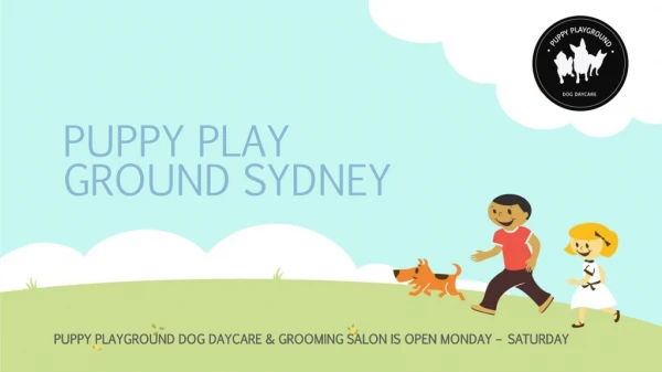 Puppy Preschool in Sydney