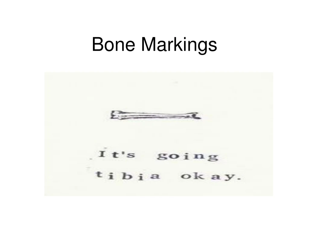 bone markings