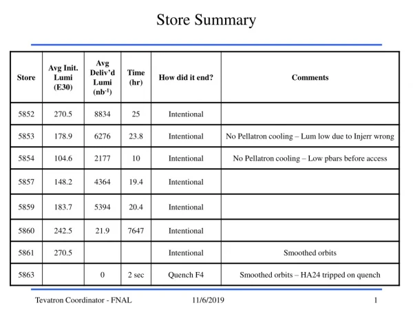 Store Summary