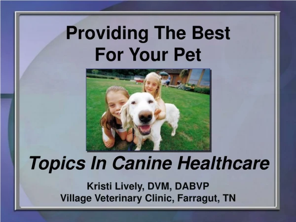 Providing The Best For Your Pet Topics In Canine Healthcare