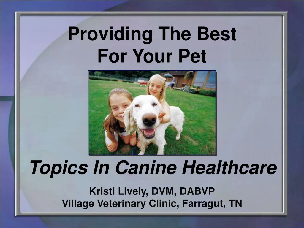 kristi lively dvm dabvp village veterinary clinic farragut tn