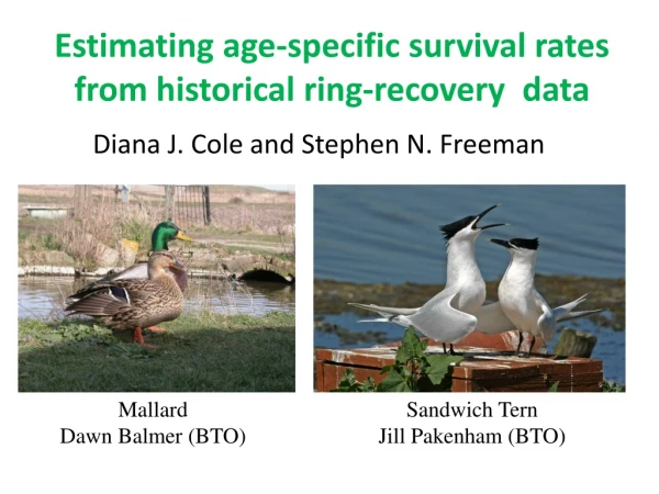 Estimating age-specific survival rates from historical ring-recovery data