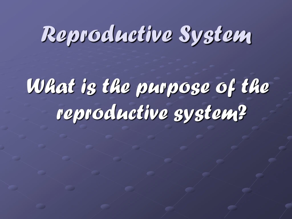 reproductive system