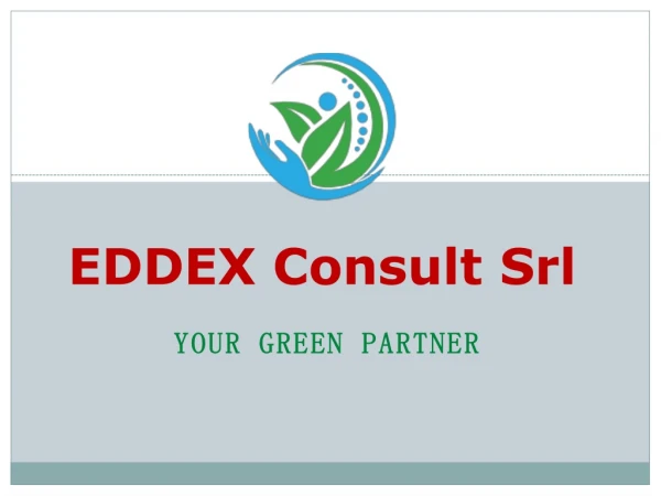 EDDEX Consult Srl