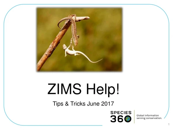 ZIMS Help!