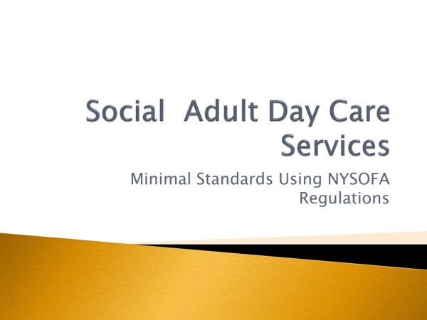 Social Adult Day Care Services