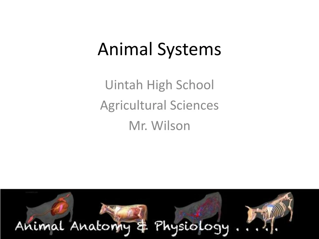 animal systems