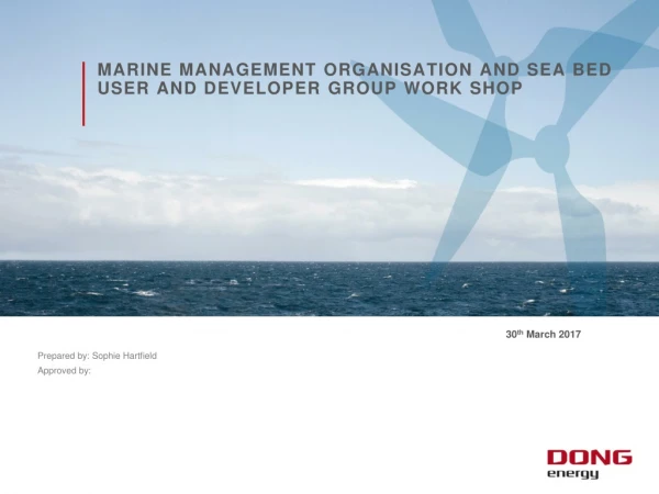Marine Management Organisation and Sea Bed User and Developer Group Work shop