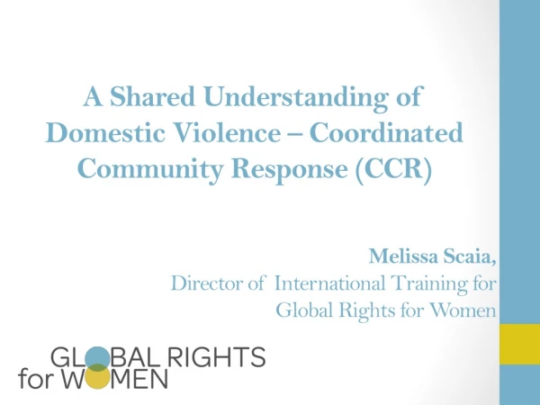 A Shared Understanding of Domestic Violence – Coordinated Community Response (CCR)