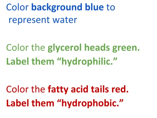 Color background blue to represent water Color the glycerol heads green.