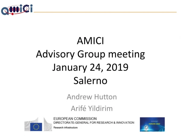 AMICI Advisory Group meeting January 24, 2019 Salerno