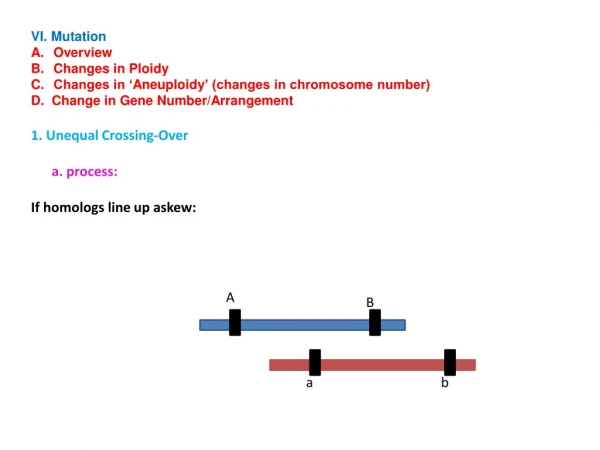 VI. Mutation Overview Changes in Ploidy Changes in ‘ Aneuploidy ’ (changes in chromosome number)