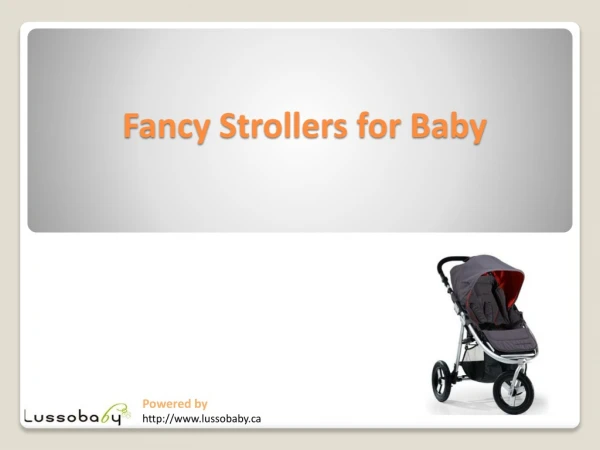 Fancy Strollers for Baby