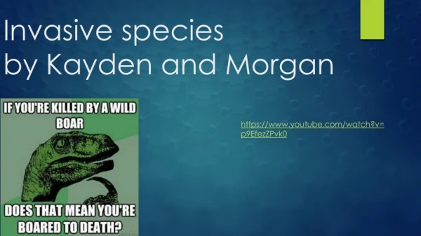 Invasive species by Kayden and Morgan