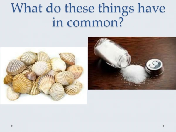 What do these things have in common?