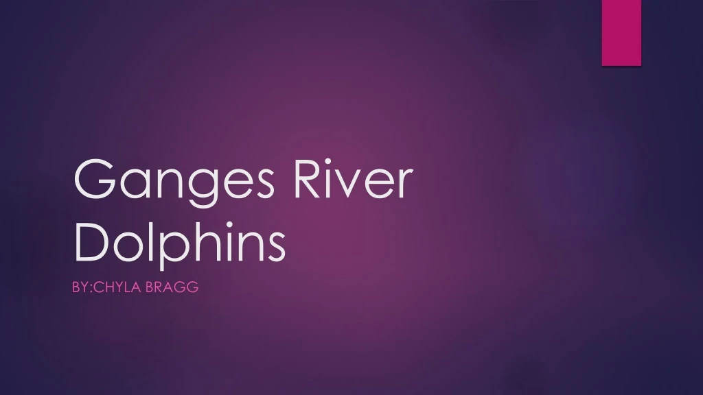 ganges river dolphins