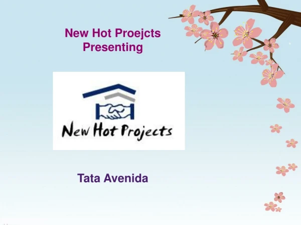 New Hot Proejcts Presenting